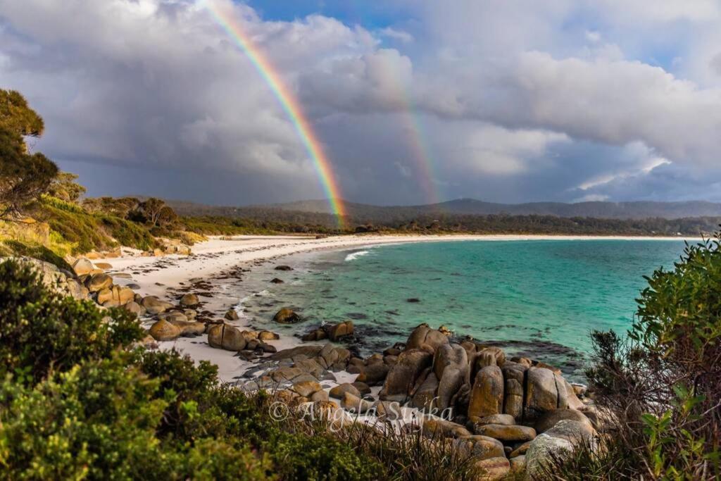 The Tin Shed Couples Accommodation At Bay Of Fires Binalong Bay Ngoại thất bức ảnh